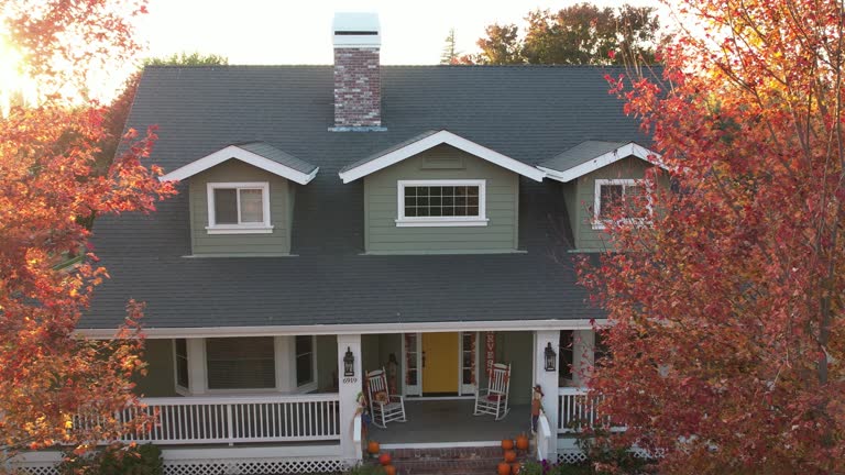 Best Asphalt Shingle Roofing  in Hitchcock, TX